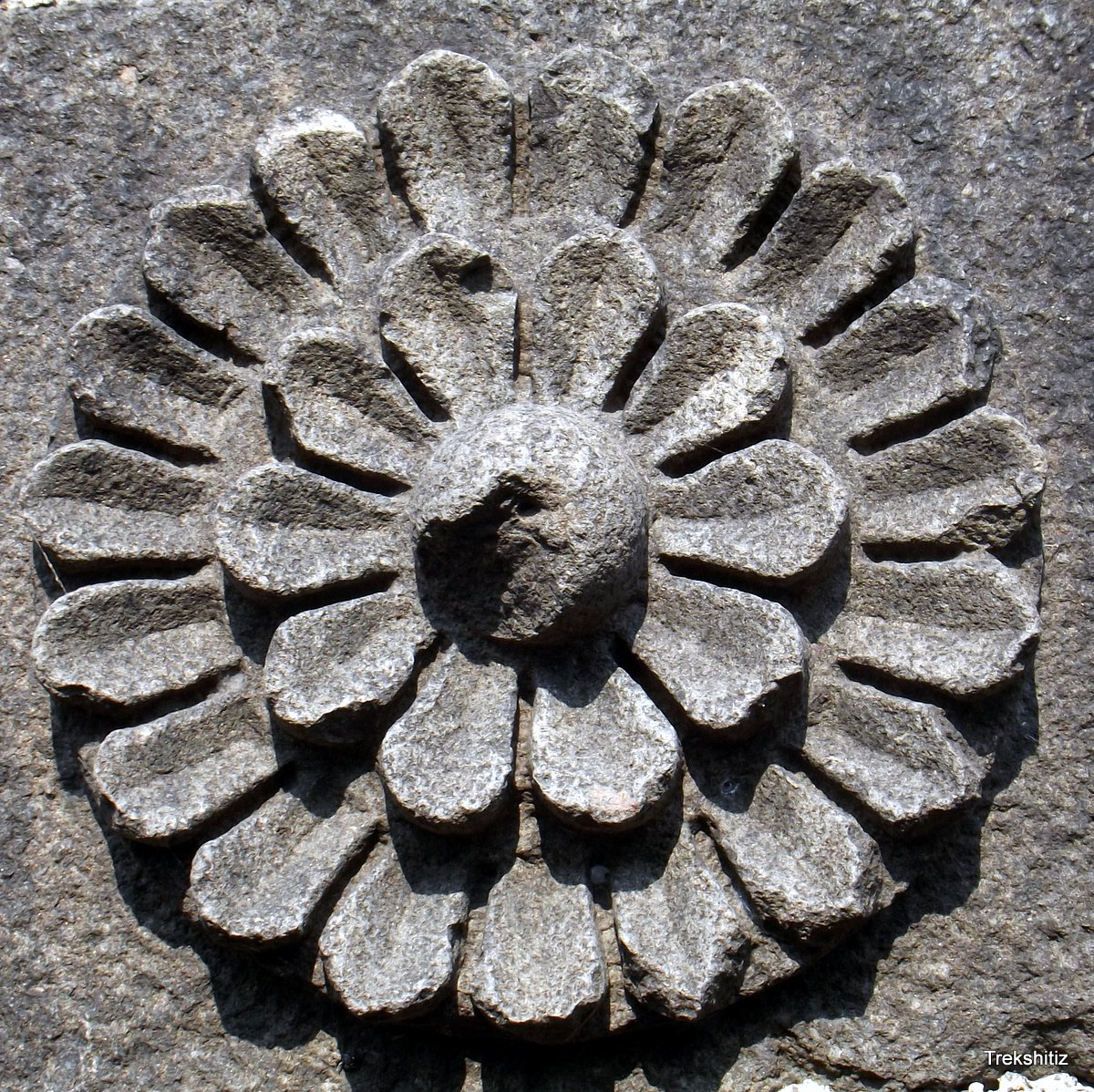 Nagar Fort